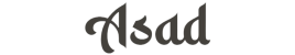 asad.in.ua